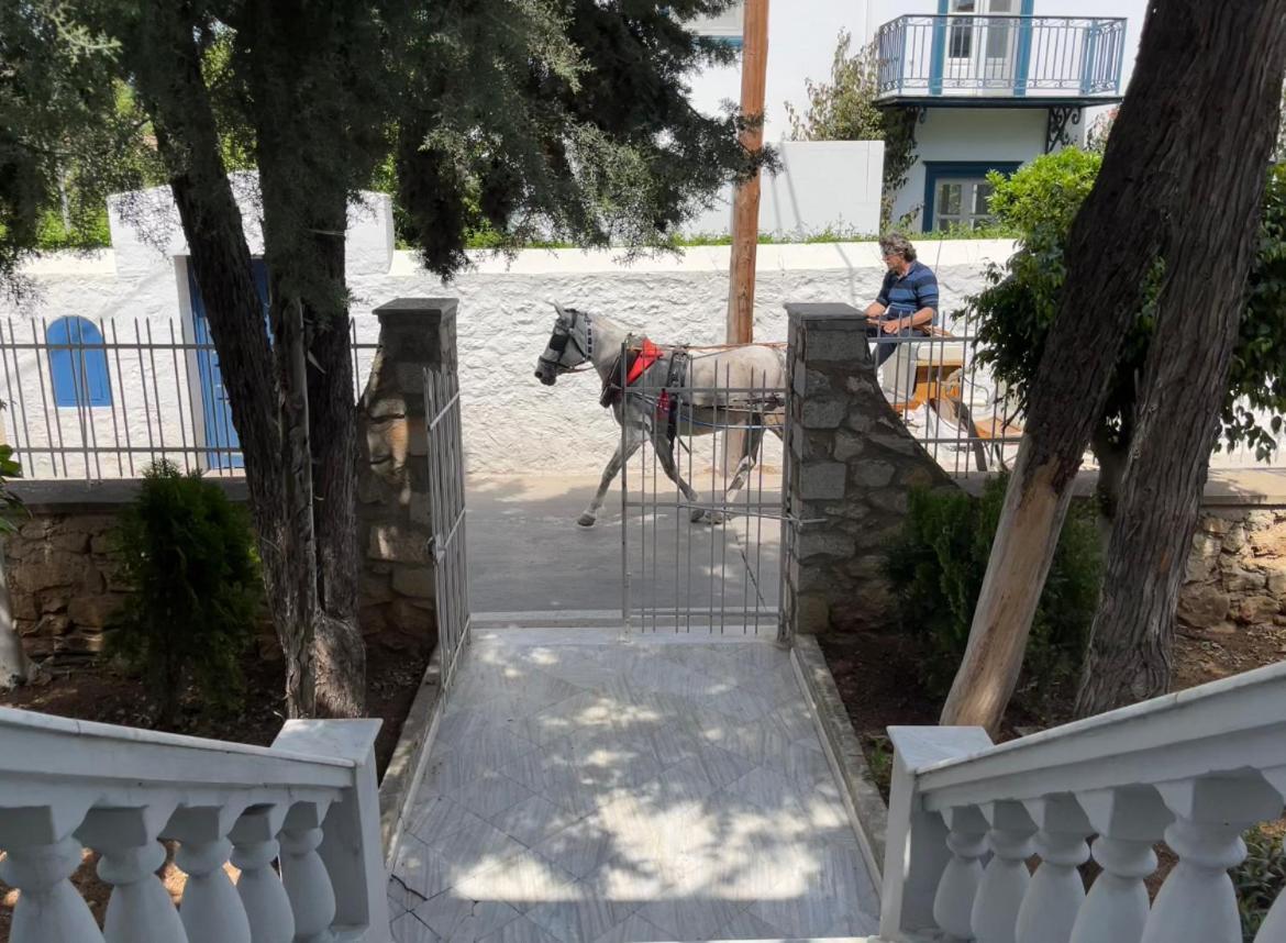 ספצס The Elegant Summer House מראה חיצוני תמונה